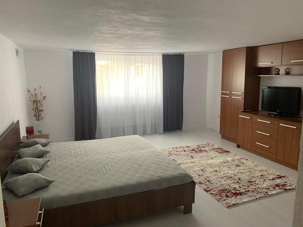 Casa Deac Apartment Sebes  Bagian luar foto
