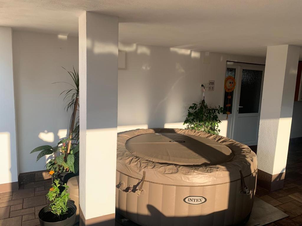 Casa Deac Apartment Sebes  Bagian luar foto